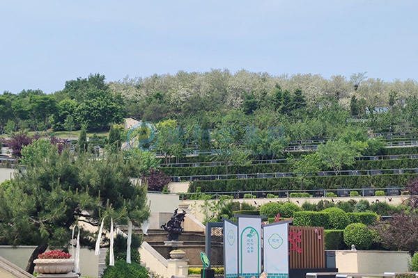 2026沈阳墓园选购干货指南：沈北合规陵园对比，工薪家庭高经济性墓园推荐！.jpg