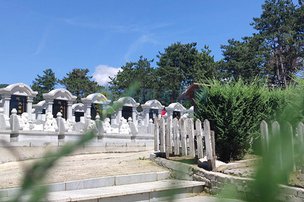 沈阳墓园选择丰富,热门公墓盘点与看墓实用指南 沈阳墓园选择丰富,热门公墓盘点与看墓实用指南