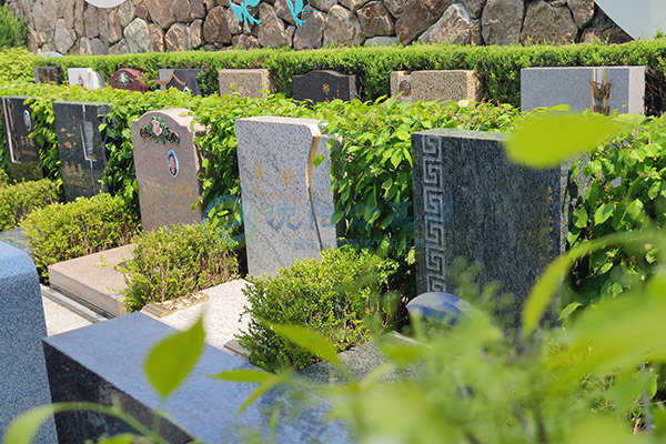 2026年国庆佳节，沈阳综合实力强的墓园推荐：口碑好、资质全的陵园公墓一文看懂！
